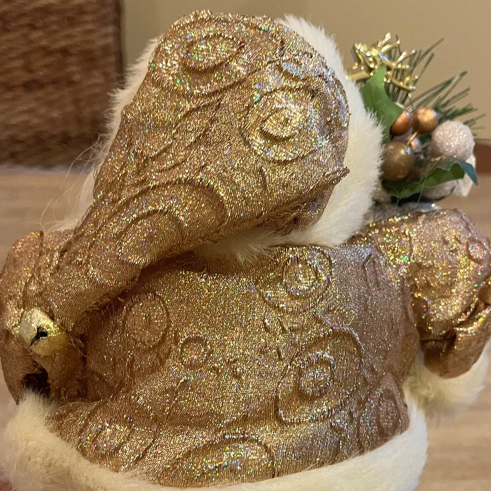 Santa Claus - Picture 6 of 12